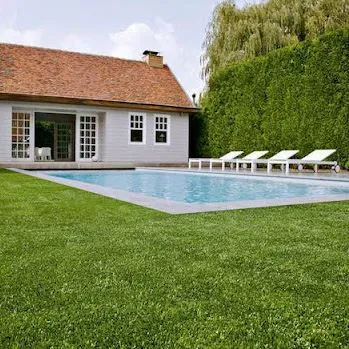 Garden Landscaping Artificial Grass
