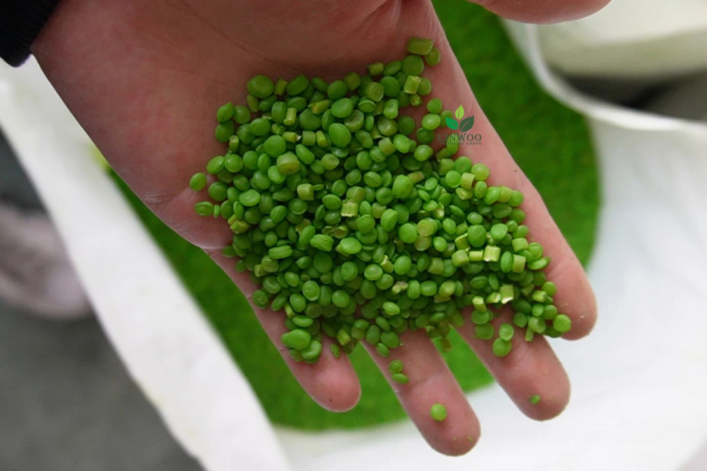 Raw Material Inspection Raw Material Inspection